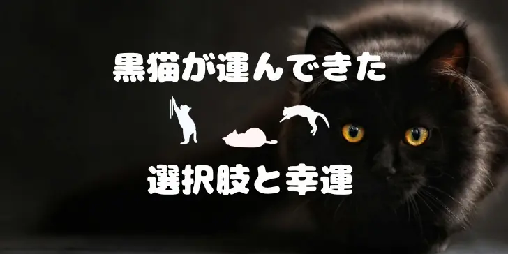 黒猫が運んできた選択肢と幸運のサムネイル