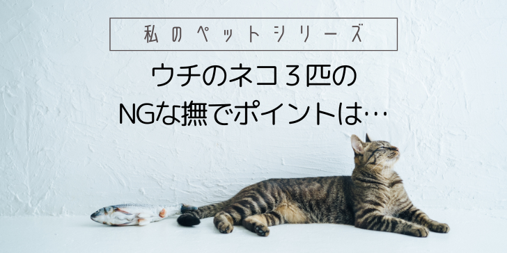 ウチのネコ３匹のNGな撫でポイントは…のサムネイル